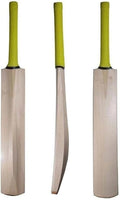 Kashmir Willow Cricket Bat for Leather Ball, Premium