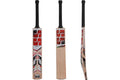 SS Noir Premium Kashmir Willow Cricket Bat